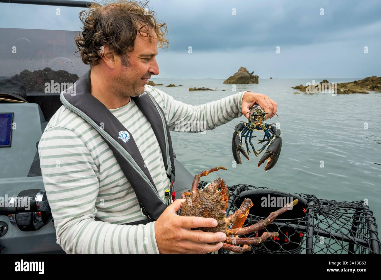 France, Finistère, baie de Morlaix, Carantec, pêche à la nacelle, pêche au panier, crabe araignée (Maja brachydactyla) et homard bleu Banque D'Images