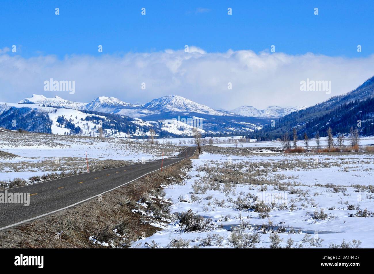 Vue en hiver/au début du printemps du parc national de Yellowstone, U. S. Highway 212 passant par la vallée de Lamar jusqu'à l'entrée ne avec Absaroka Mtns. Banque D'Images