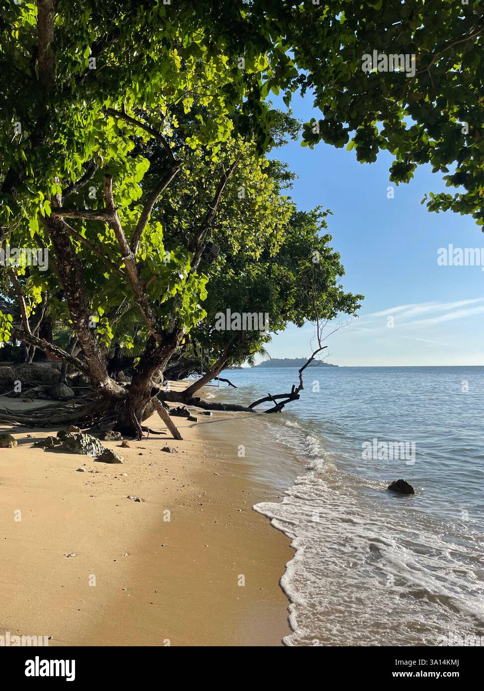 Sérénité tropicale : plage ensoleillée et vagues douces Banque D'Images