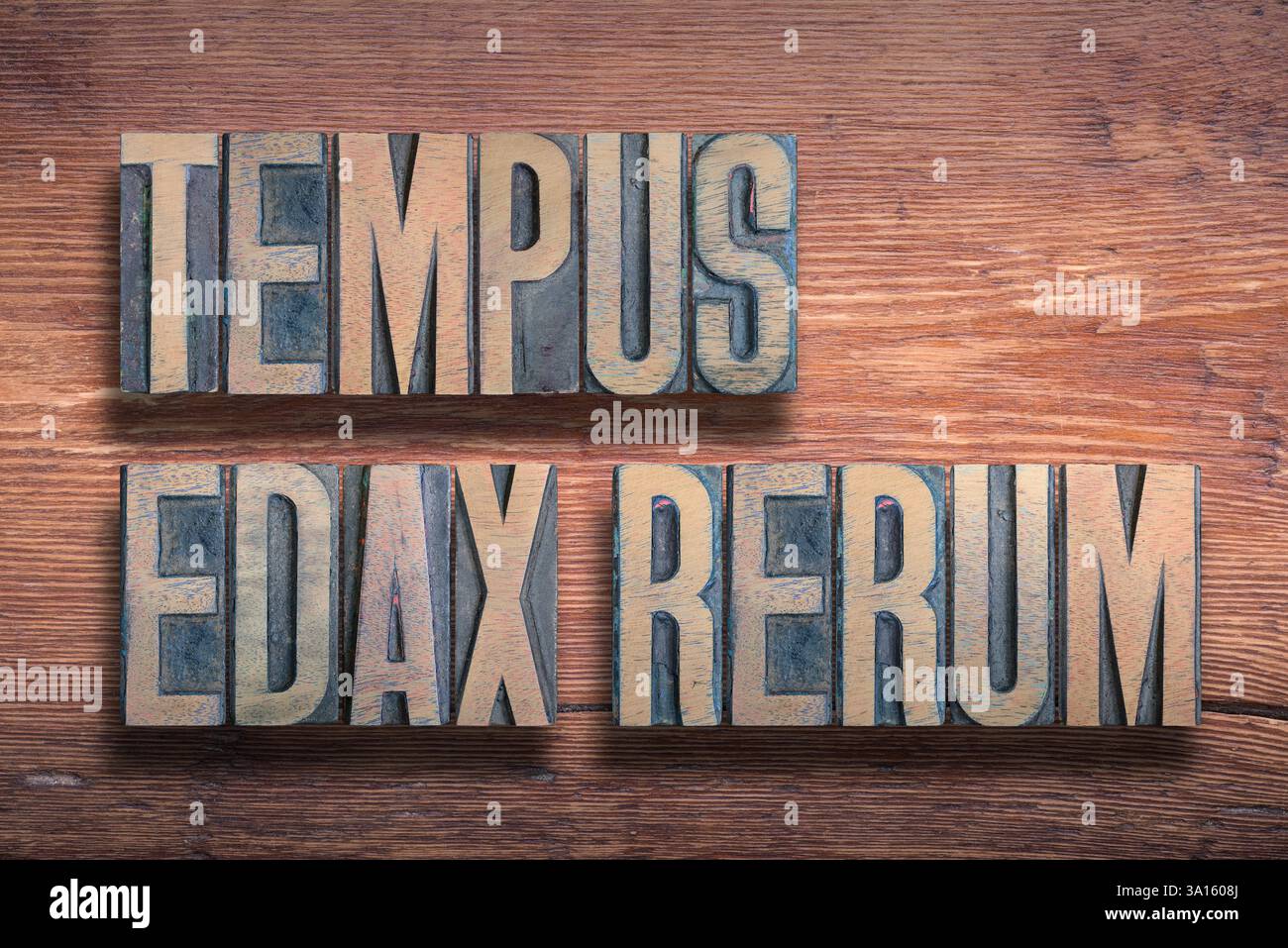 Le temps dévore tout (Tempus edax rerum) phrase latine combinée sur une surface en bois verni vintage Banque D'Images