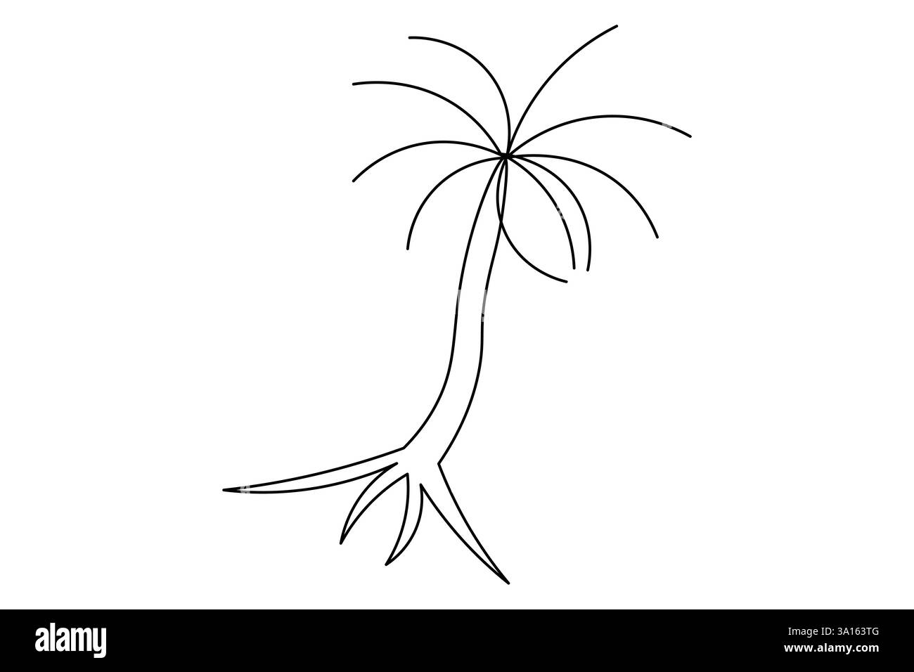 Illustration vectorielle d'art d'une ligne continue d'arbre de palmier Illustration de Vecteur