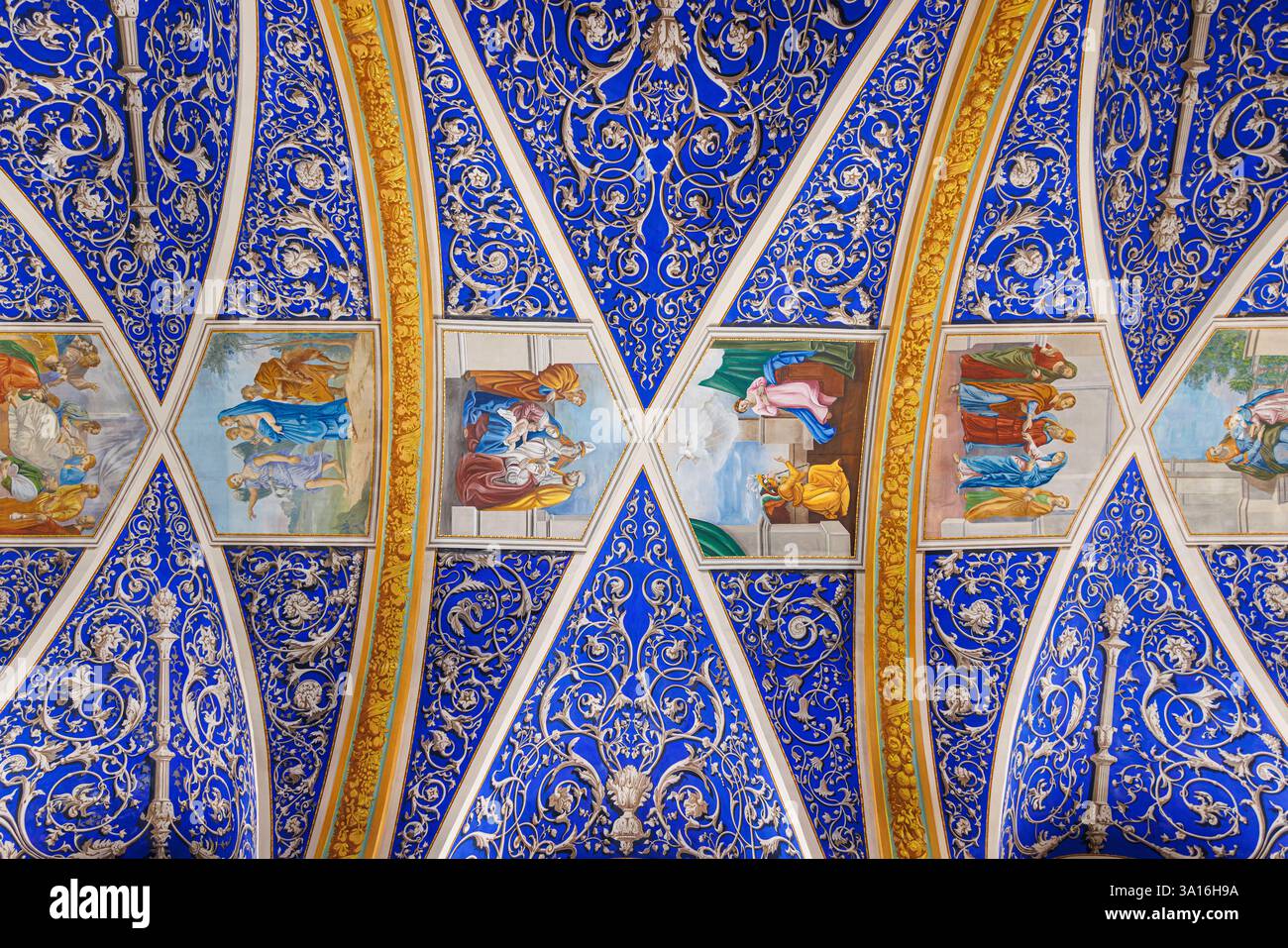 France, Tarn, Castelnau de Montmiral, labellisé les plus Beaux villages de France, plafond peint de l'église Banque D'Images