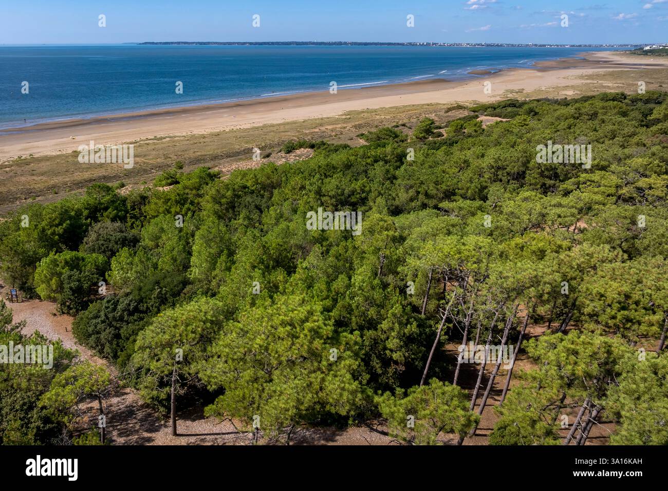 France, Loire Atlantique, Saint-Brévin-les-Pins, forêt de Pierre Attelée (vue aérienne) Banque D'Images