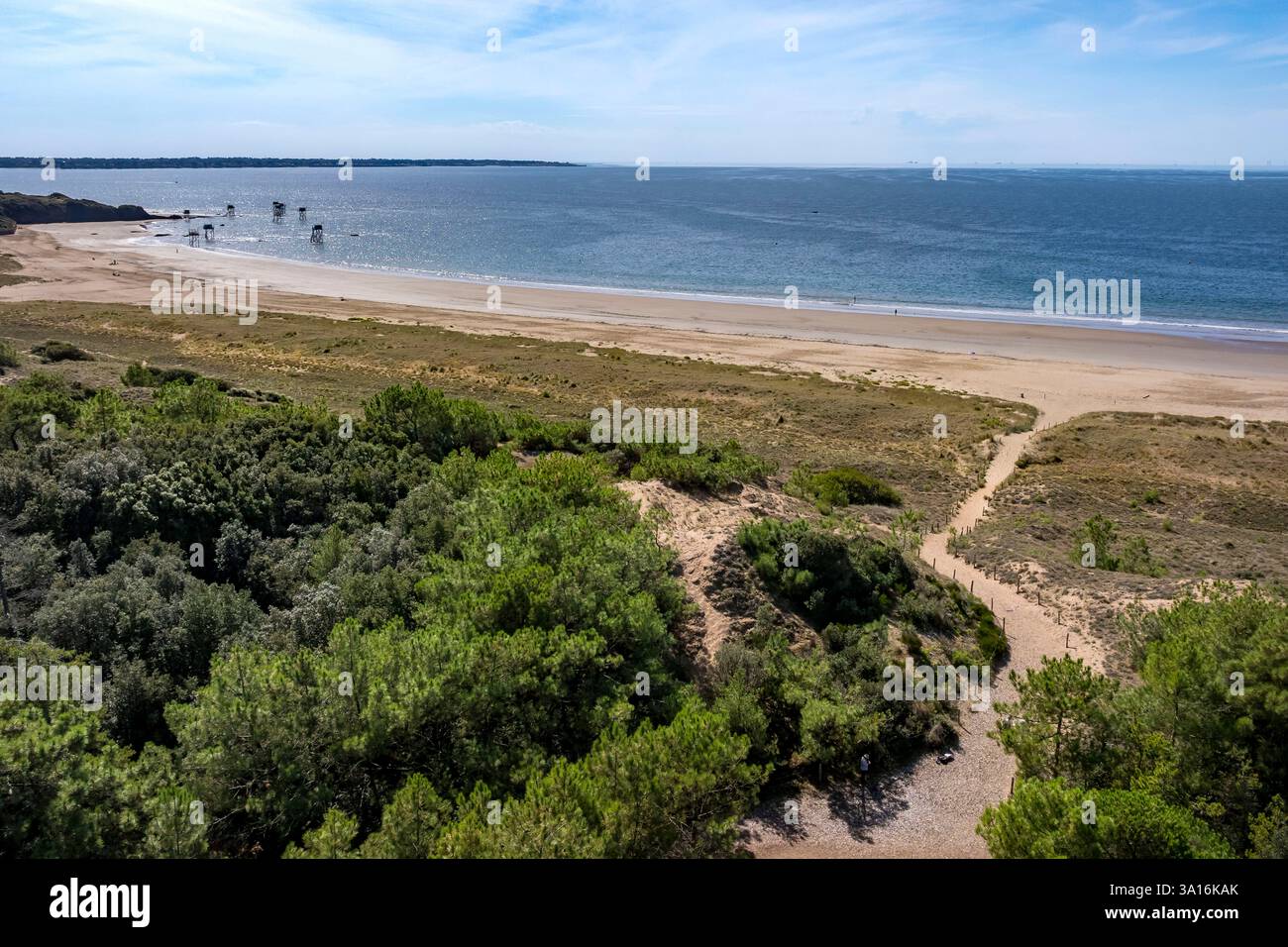 France, Loire Atlantique, Saint-Brévin-les-Pins, forêt de Pierre Attelée (vue aérienne) Banque D'Images