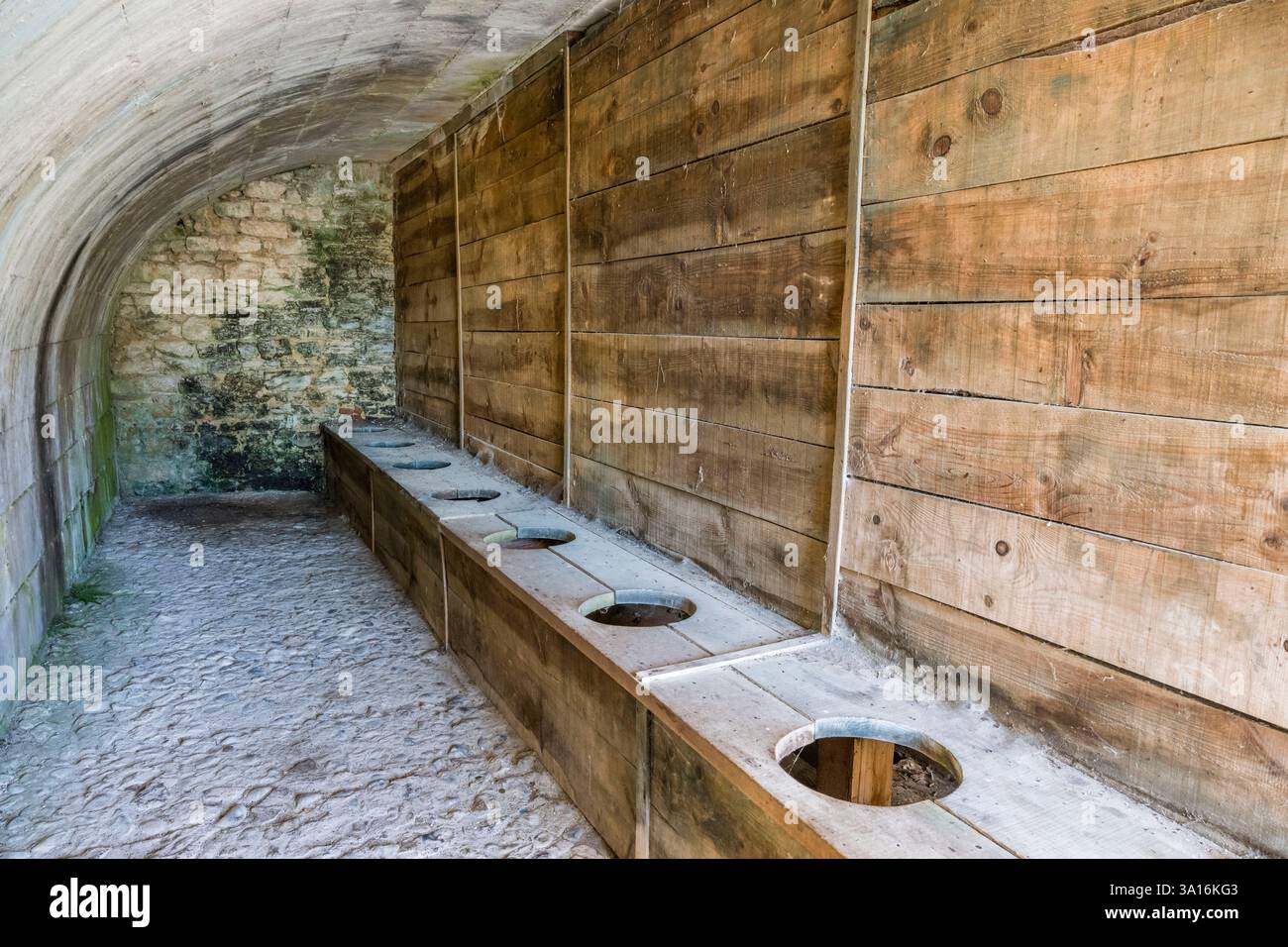 France, Charente maritime, Saintonge, Marennes Hiers Brouage, citadelle de Brouage, labellisé les plus Beaux villages de France (les plus beaux villages de France), Banque D'Images