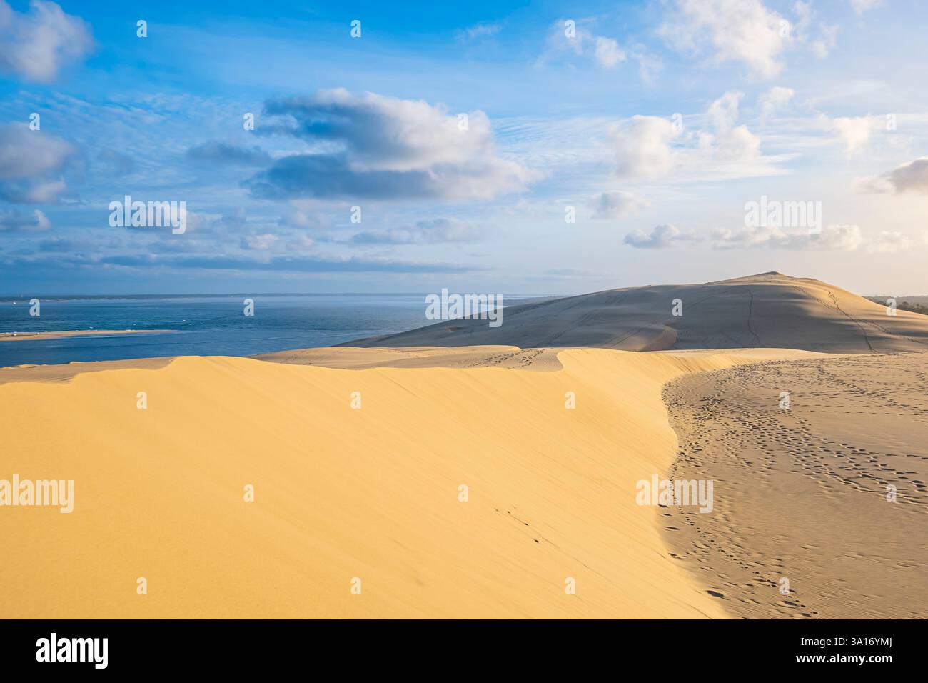 France, Gironde, Pyla-sur-mer, Grand site de la Dune du Pilat, espace naturel protégé et la plus haute dune d'Europe Banque D'Images
