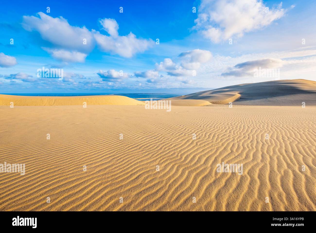 France, Gironde, Pyla-sur-mer, Grand site de la Dune du Pilat, espace naturel protégé et la plus haute dune d'Europe Banque D'Images
