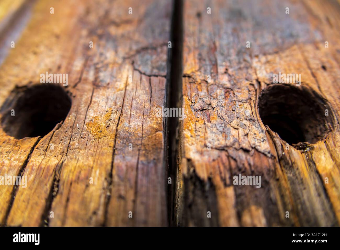 Gros plan d'une planche de bois altérée avec deux trous ronds, présentant une texture vieillie, des fissures et des motifs naturels. Idéal pour le fond et la texture Banque D'Images