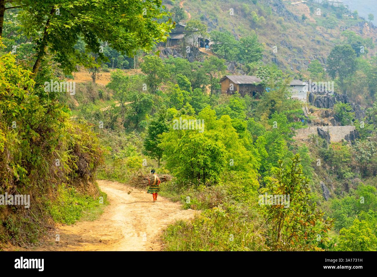 Vietnam, Haut Tonkin, province de Ha Giang, boucle de Ha Giang ou boucle de Ha Giang Banque D'Images