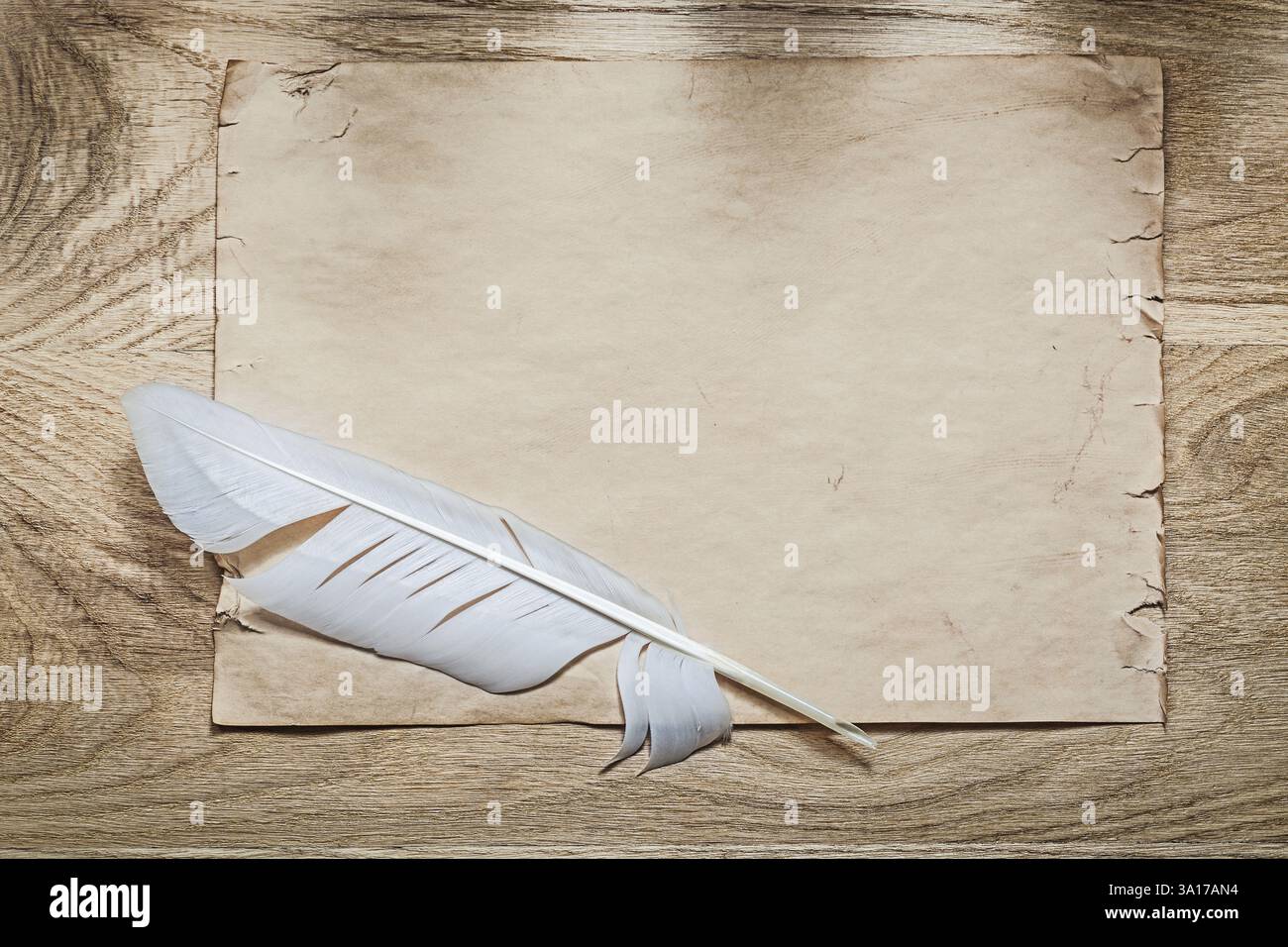 Plume médiévale en parchemin sur planche de bois Banque D'Images