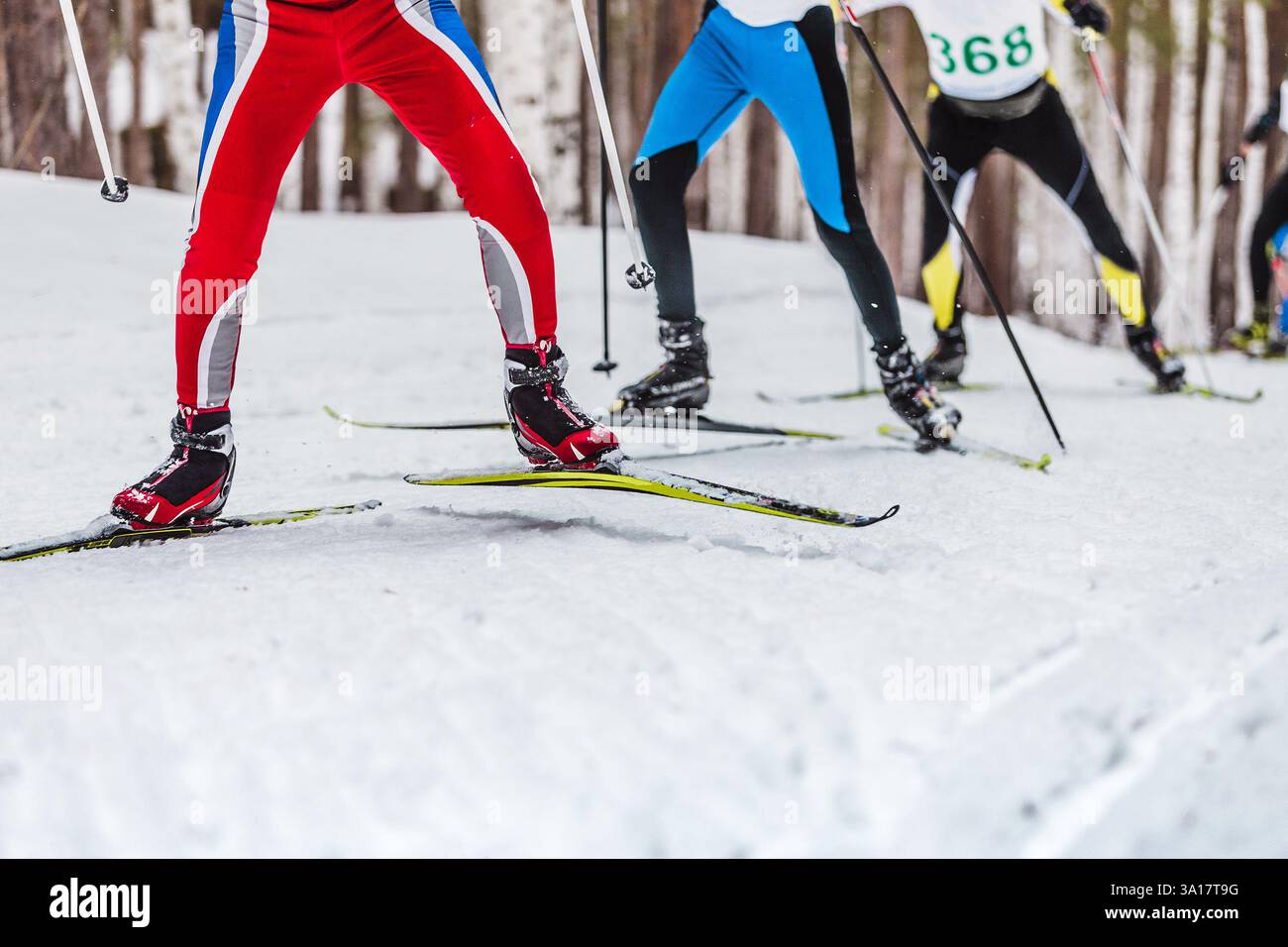 jambes groupe skieurs en montée dans une course de ski de fond Banque D'Images