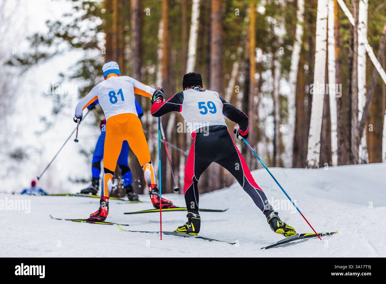 vue arrière athlètes de ski en montée dans une course de ski de fond Banque D'Images