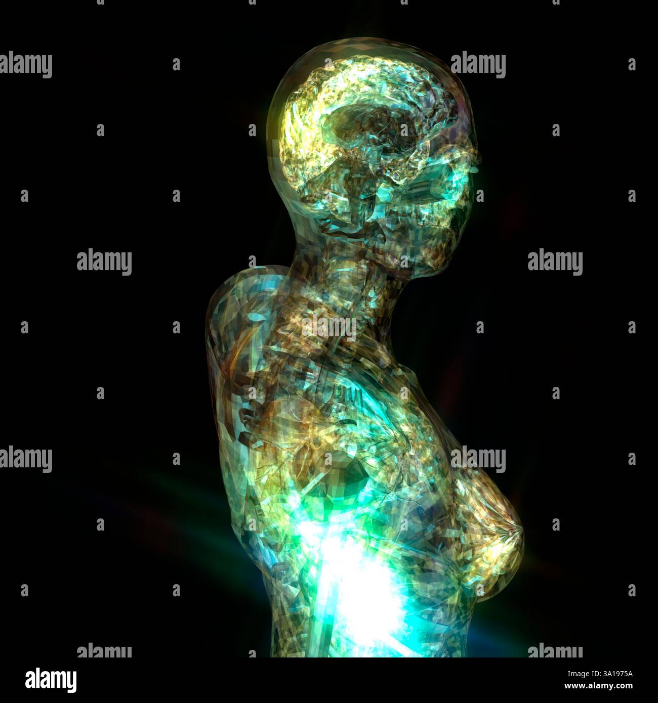 Illustration 3D d'une anatomie humaine Banque D'Images