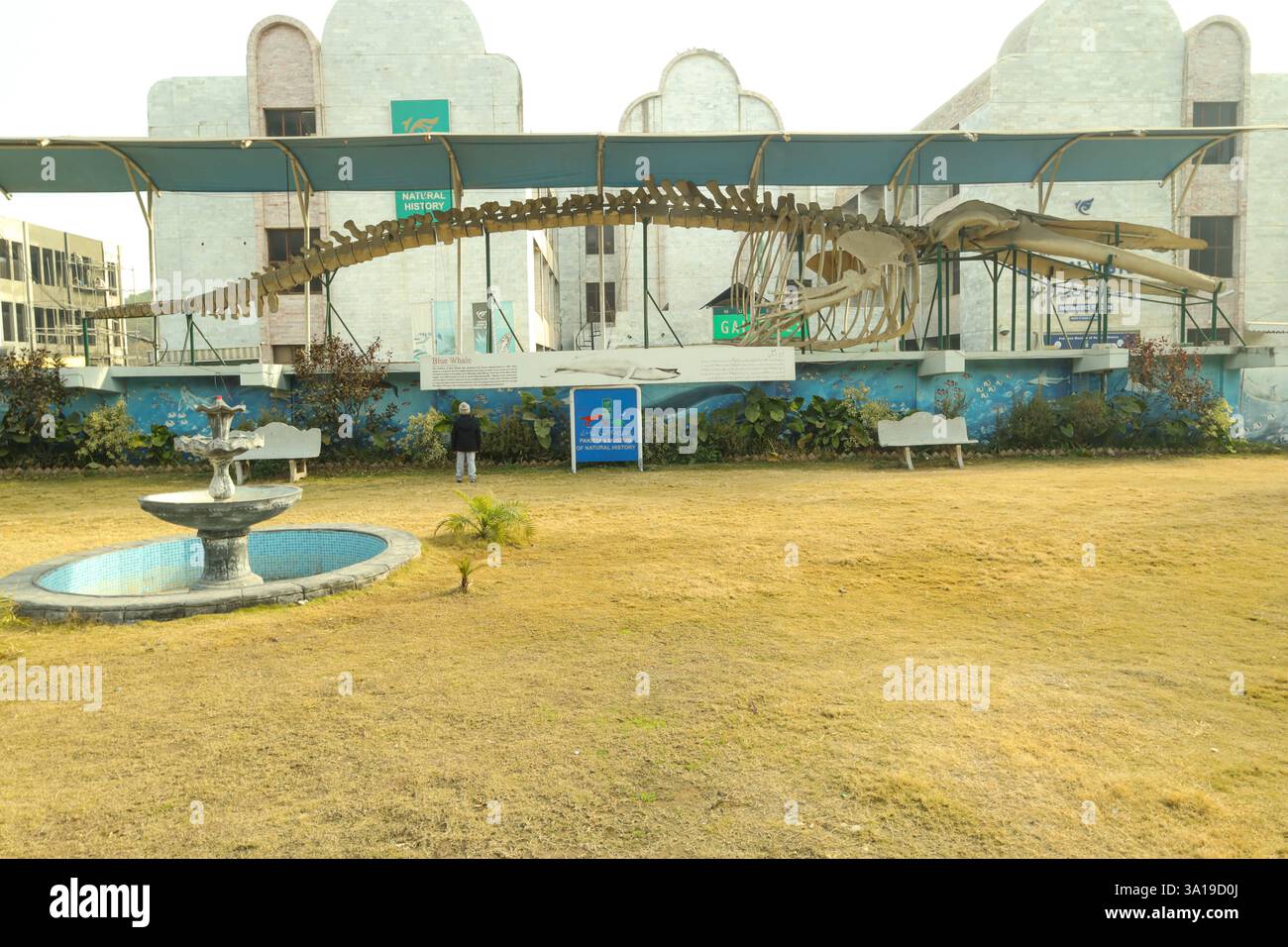 Islamabad, Pakistan - 21 janvier 2025 : Musée d'histoire naturelle du Pakistan, Islamabad Banque D'Images