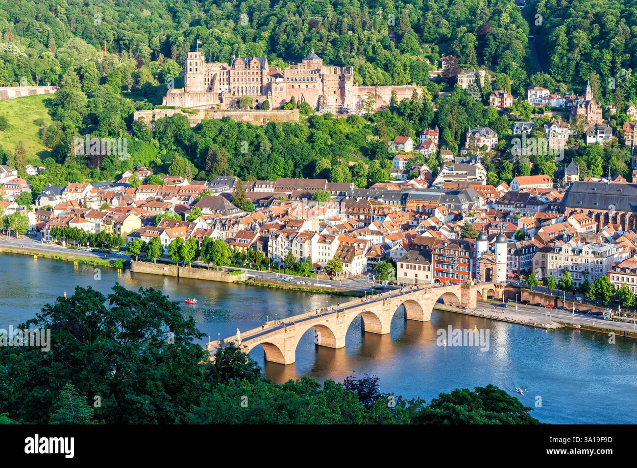 Heidelberg, Allemagne, vue sur le château de la rivière Neckar et le vieux pont à Heidelberg, Allemagne. Banque D'Images