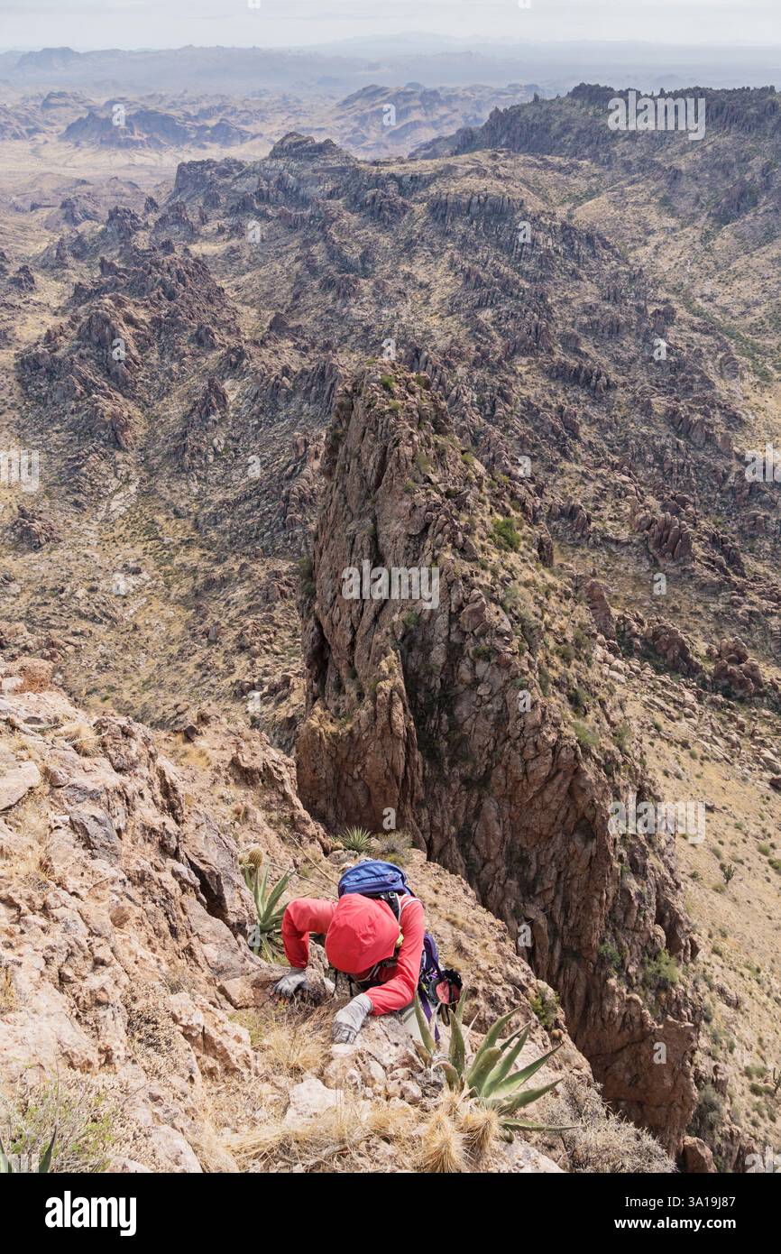 Femme grimpant sur Weavers Needle dans les montagnes Superstition en Arizona Banque D'Images