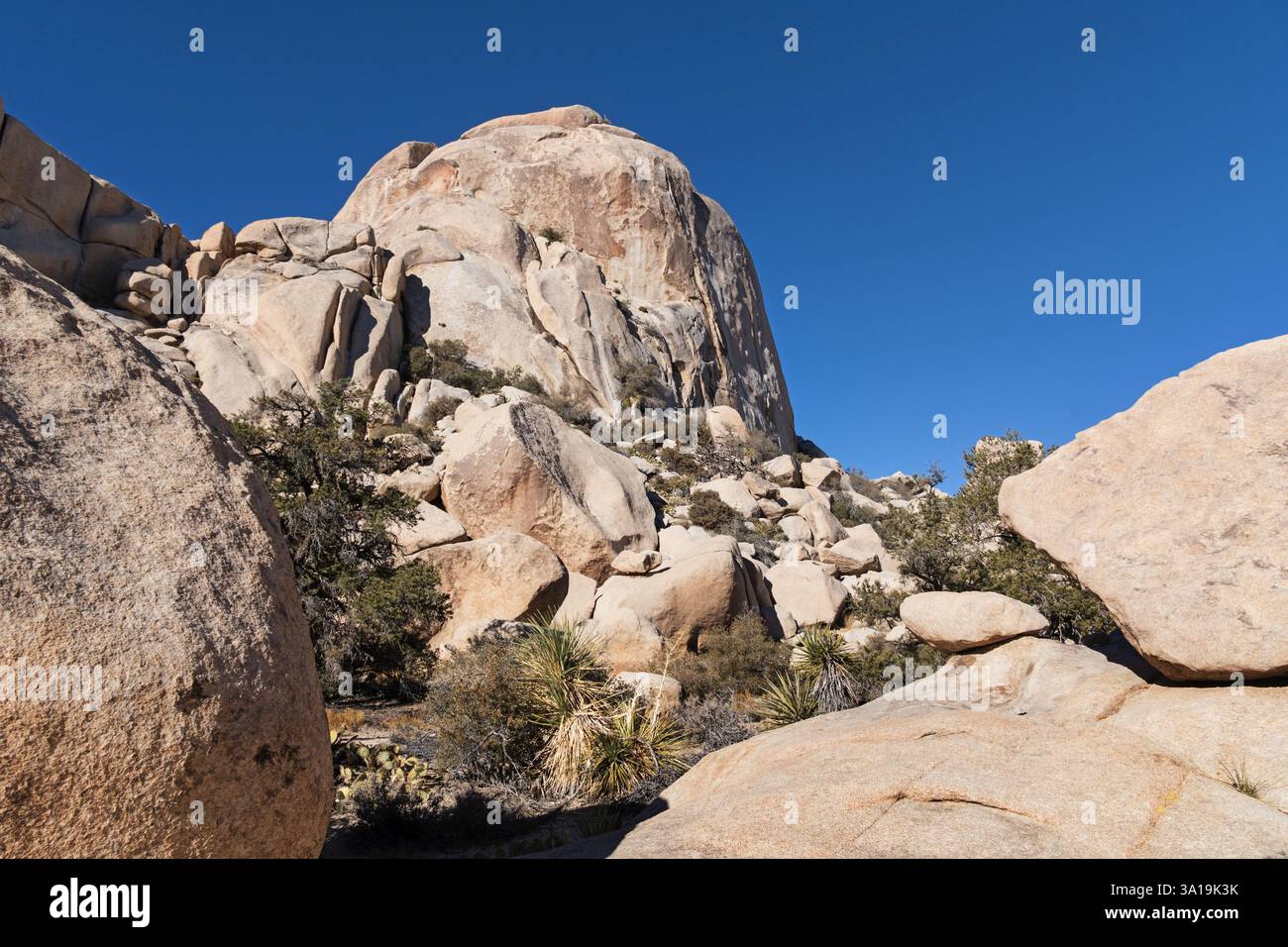 South Astro Dome au pays des merveilles des rochers dans le parc national de Joshua Tree Banque D'Images