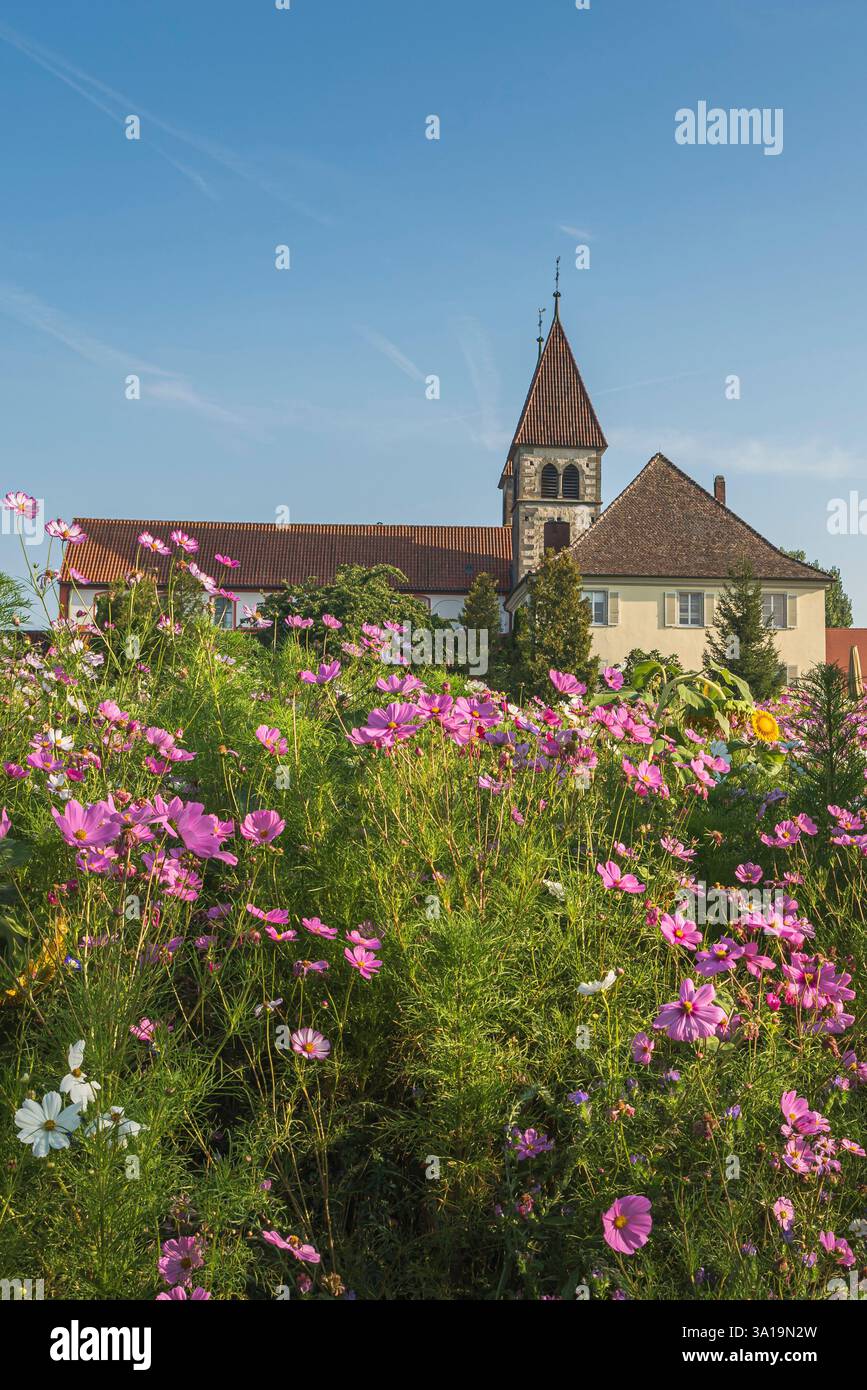 Église de Pierre et Paul avec prairie de fleurs au premier plan, île de Reichenau, site du patrimoine mondial de l'UNESCO, Niederzell, lac de Constance, Bade-Württemberg, Allemagne Banque D'Images