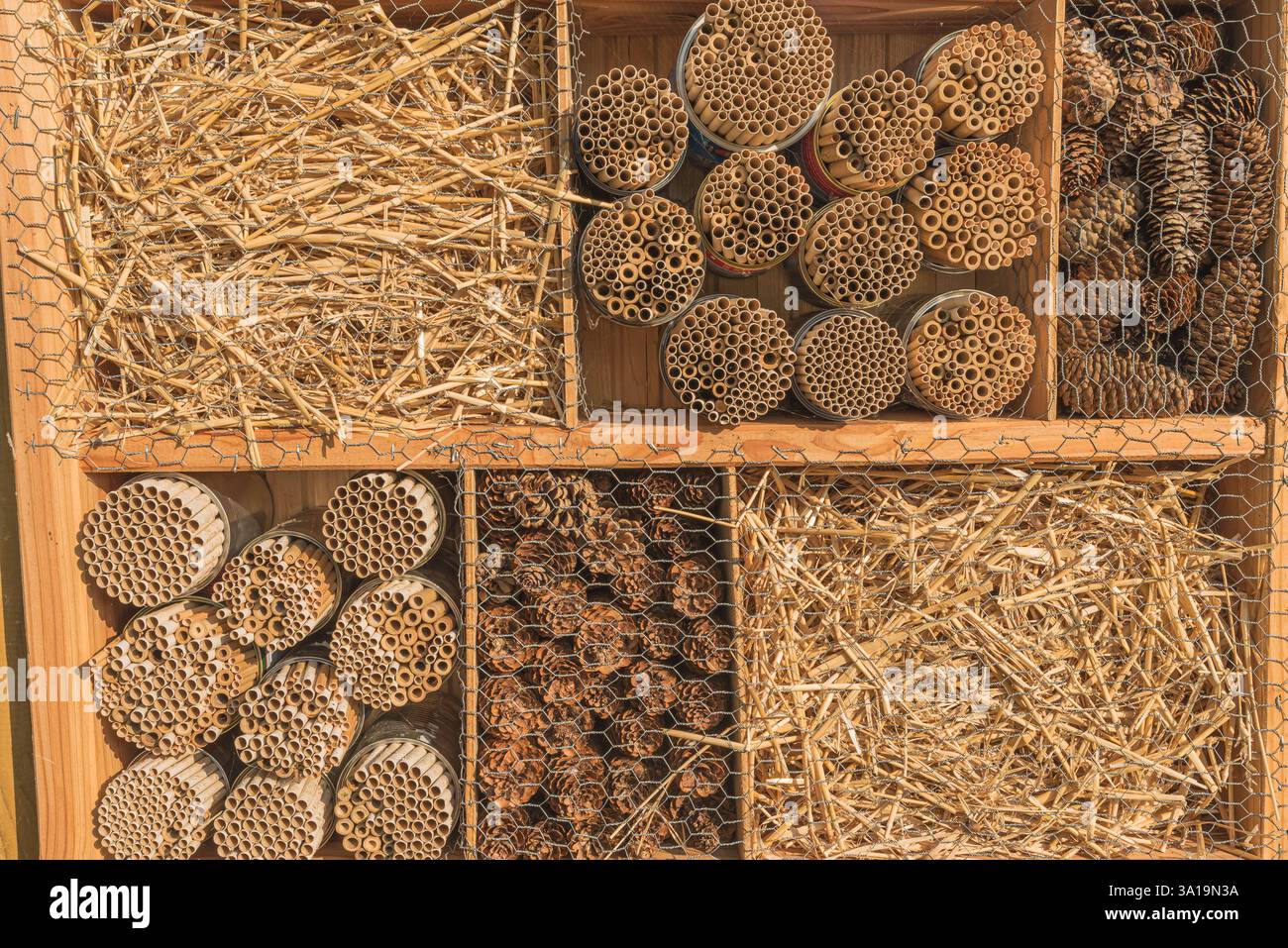 Gros plan d'un hôtel pour insectes, abri pour insectes, île de Reichenau, Bade Württemberg, Allemagne Banque D'Images