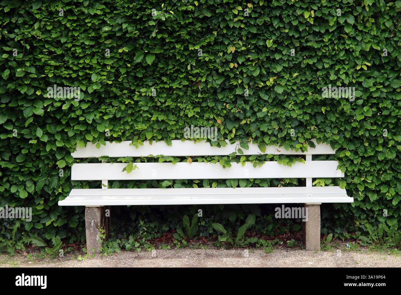 Petit endroit romantique Banque D'Images