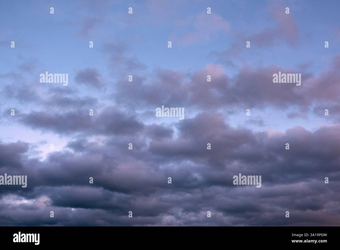 Ciel tôt le matin avec nuages pastel Banque D'Images Ciel tôt le matin avec nuages pastel Banque D'Images