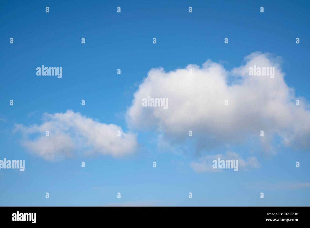 Vue en angle bas du ciel avec nuages de cumulus Banque D'Images