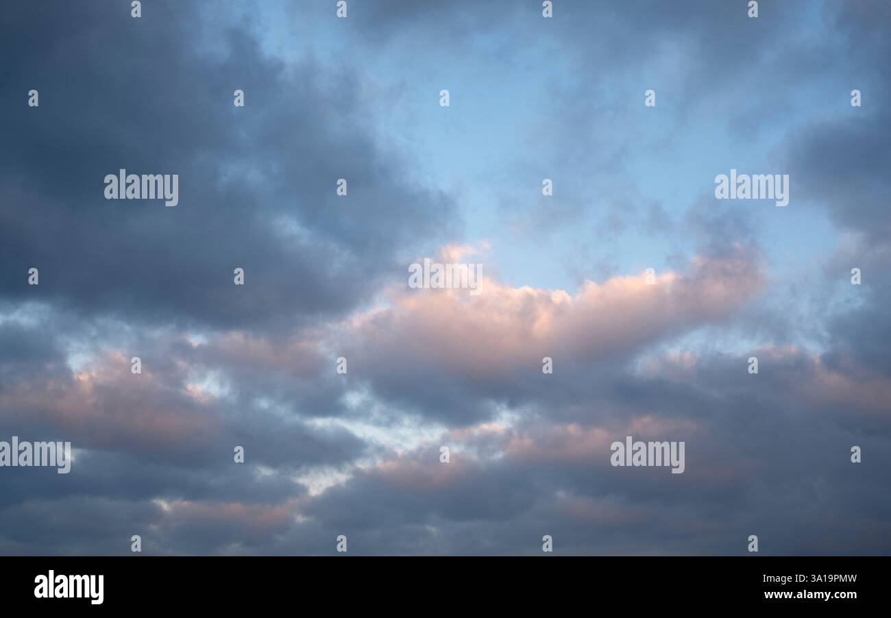 Vue en angle bas du ciel avec nuages de cumulus Banque D'Images Vue en angle bas du ciel avec nuages de cumulus Banque D'Images