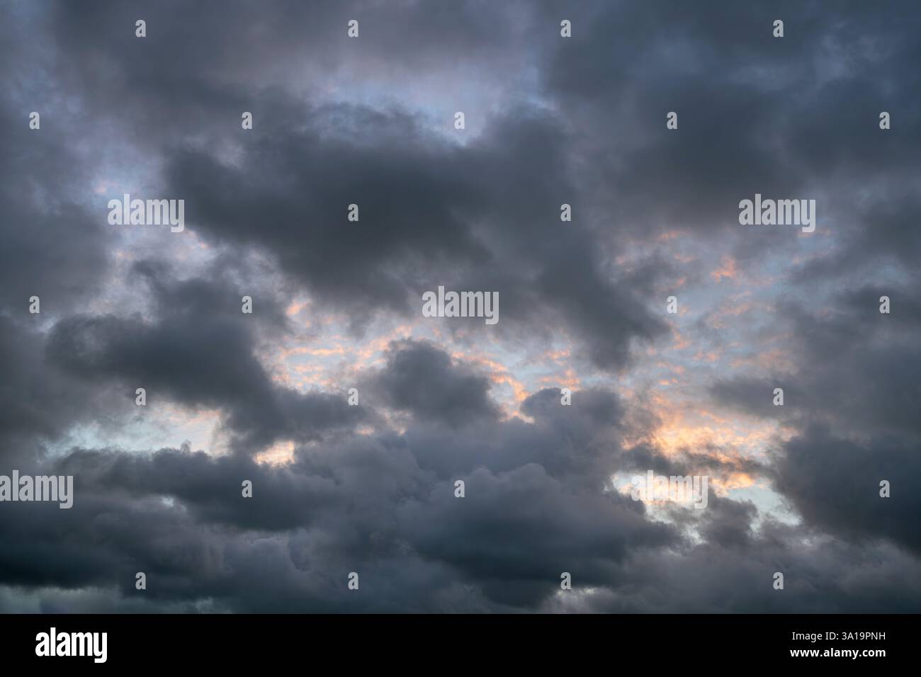Vue à angle bas vers le ciel du soir avec des nuages spectaculaires Banque D'Images Vue à angle bas vers le ciel du soir avec des nuages spectaculaires Banque D'Images