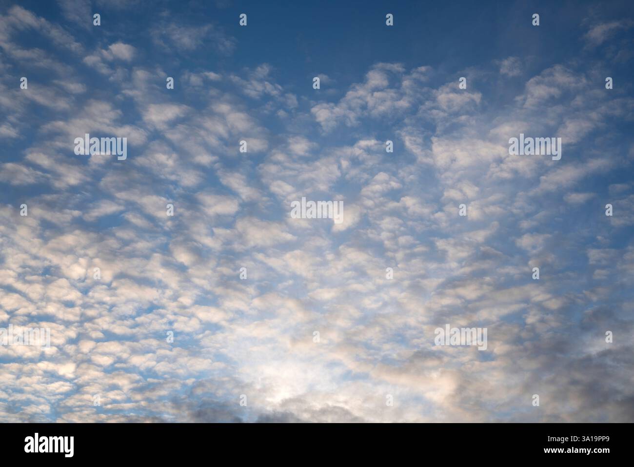 Ciel ensoleillé avec nuages de plumes Banque D'Images Ciel ensoleillé avec nuages de plumes Banque D'Images