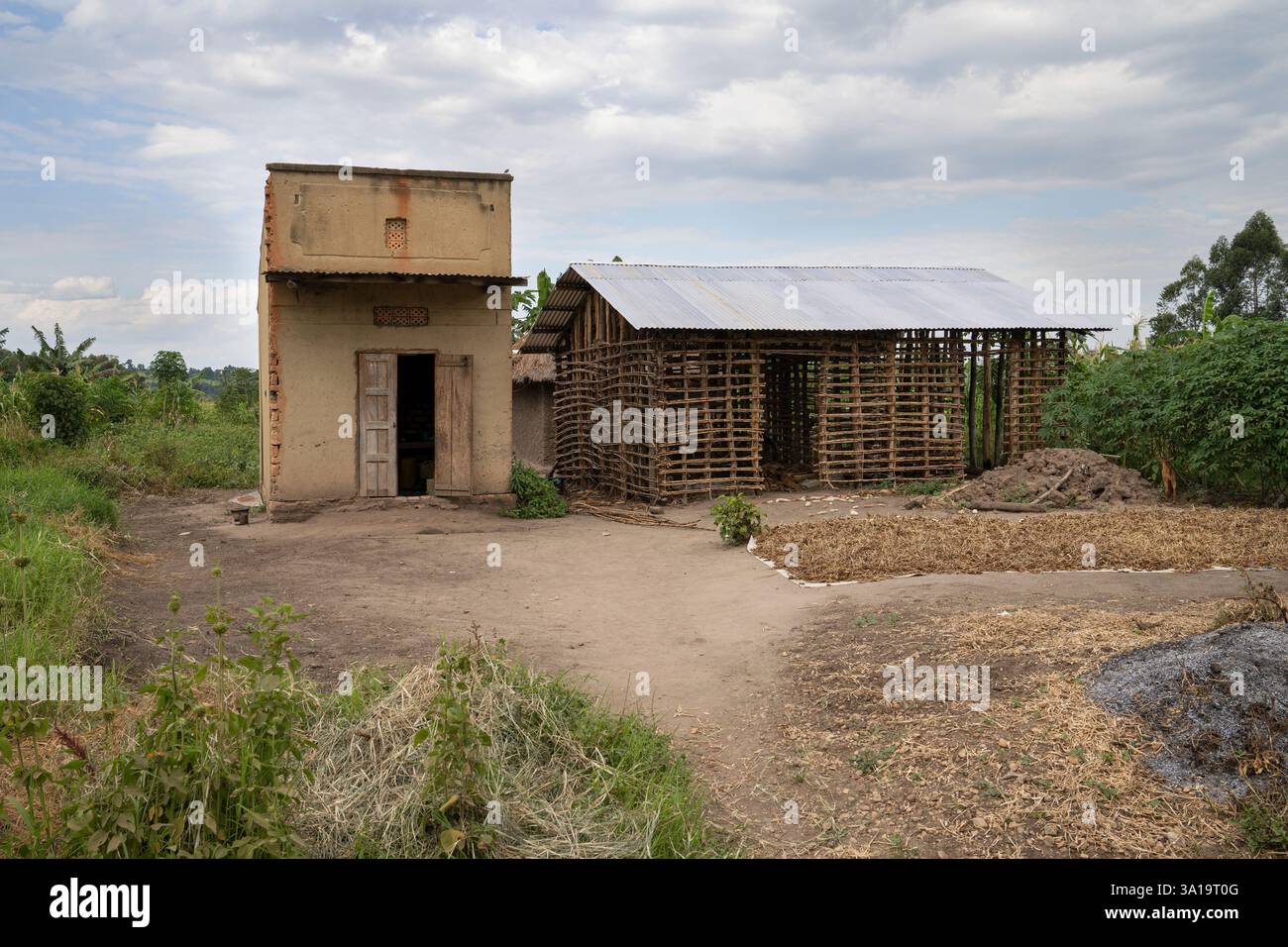 Village africain typique, Ouganda, Afrique de l'est Banque D'Images