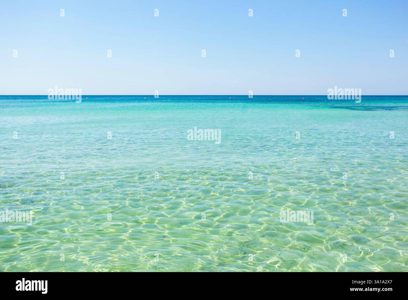 Vue magnifique sur la mer aux eaux turquoises et Golden Beach à Punta Prosciutto, Salento, Pouilles, Italie. Banque D'Images
