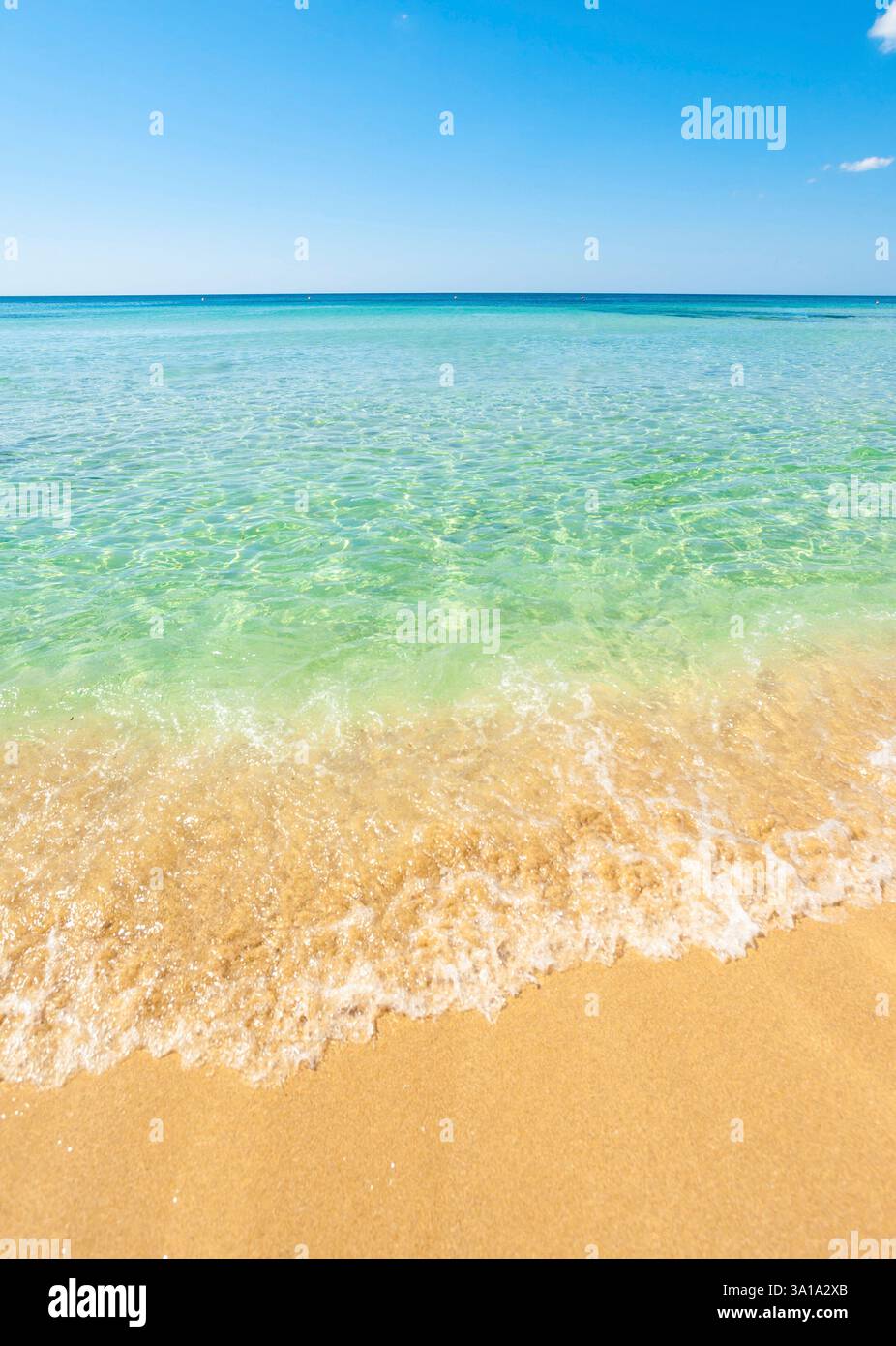 Vue magnifique sur la mer aux eaux turquoises et Golden Beach à Punta Prosciutto, Salento, Pouilles, Italie. Banque D'Images