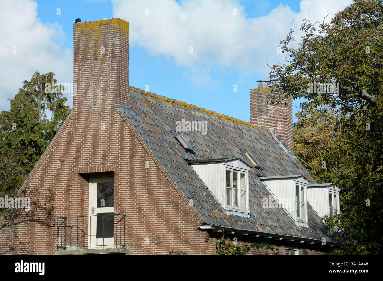 Toit de maison avec cheminée aux pays-Bas avec arbre et ciel bleu Banque D'Images
