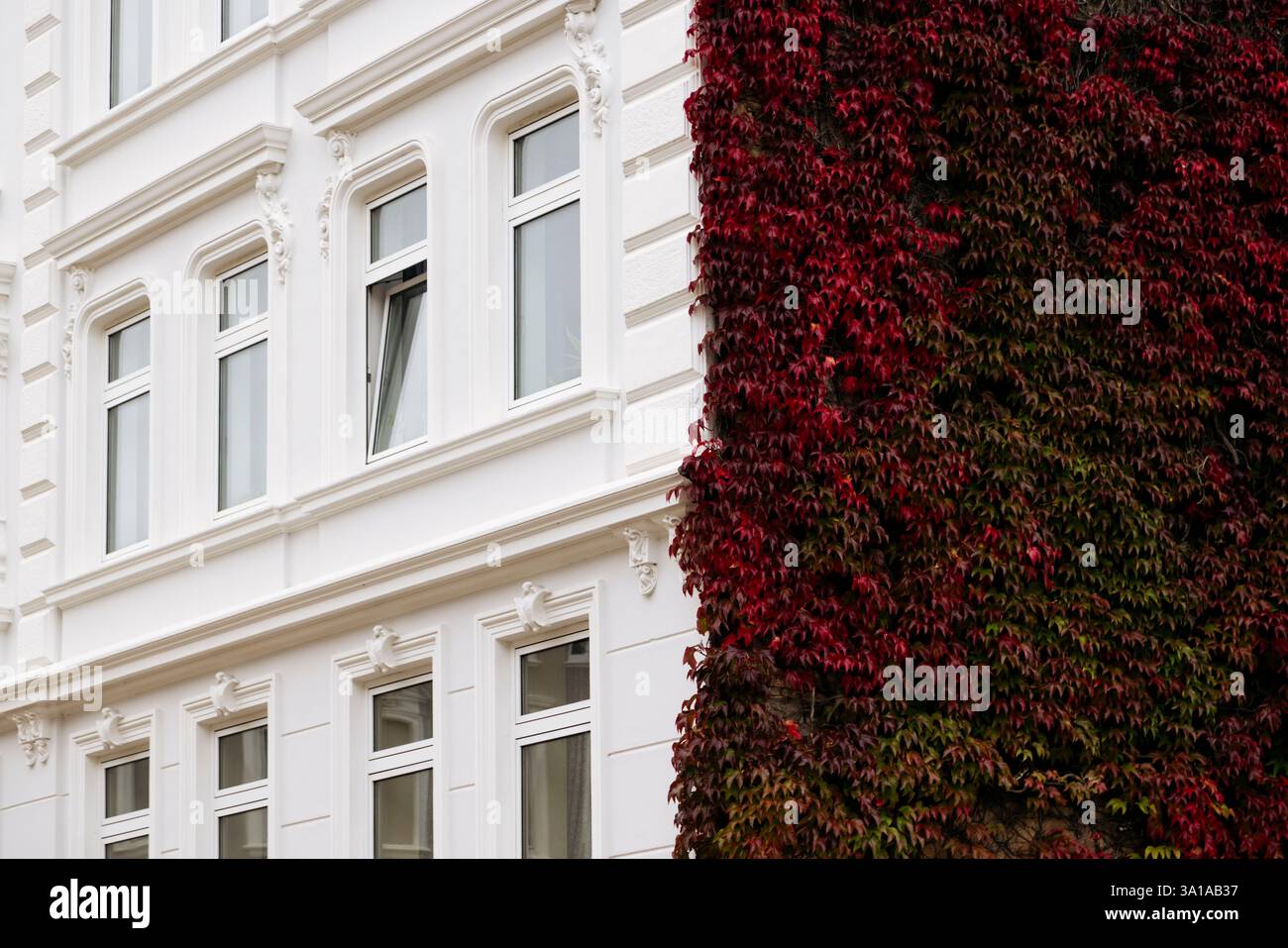 Bâtiment ancien, Art Nouveau, Friesische de Flensburg avec vin Straße automne sur la façade Banque D'Images