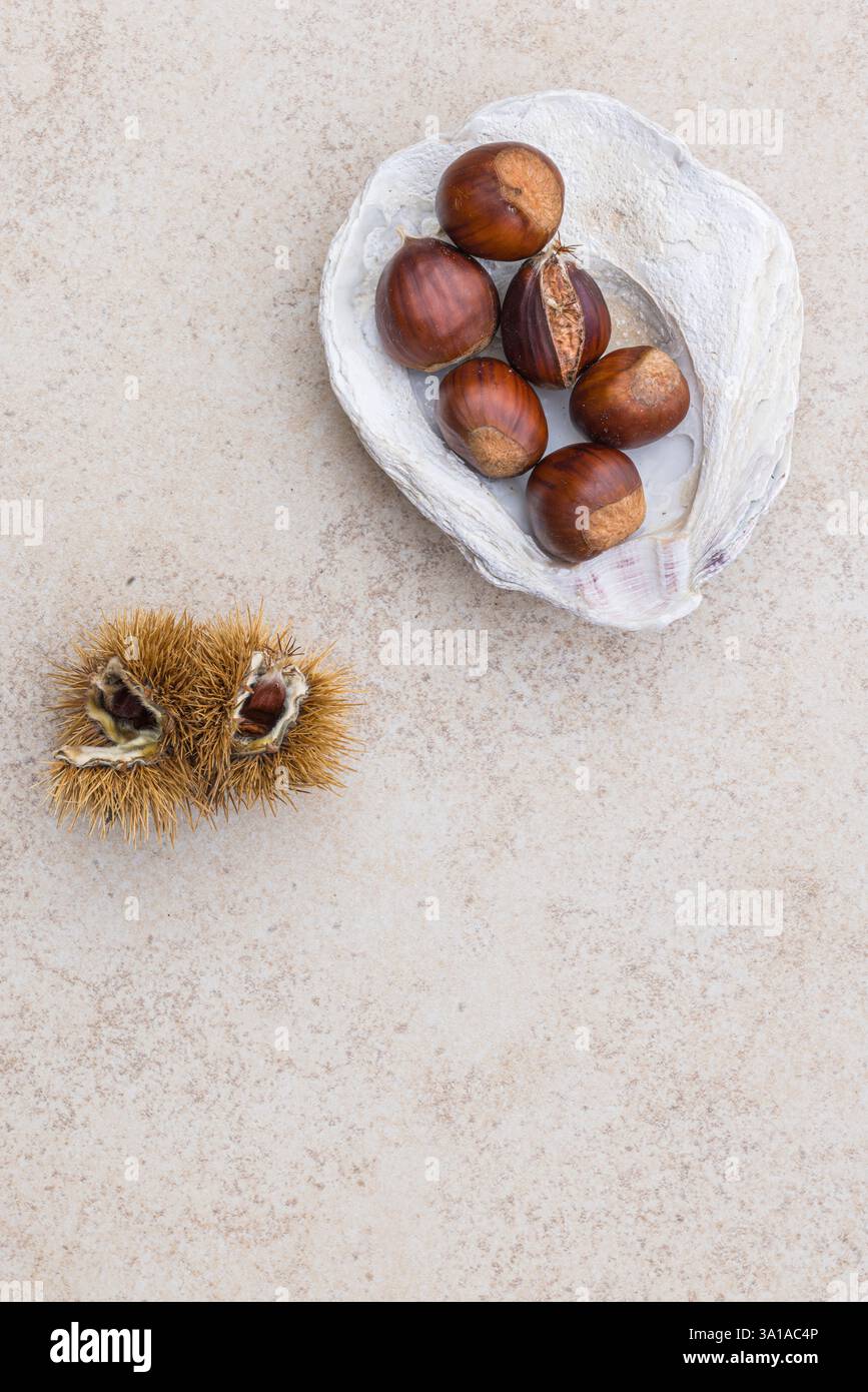 Châtaignes, coquille de moule comme un bol, nature morte de nourriture Banque D'Images