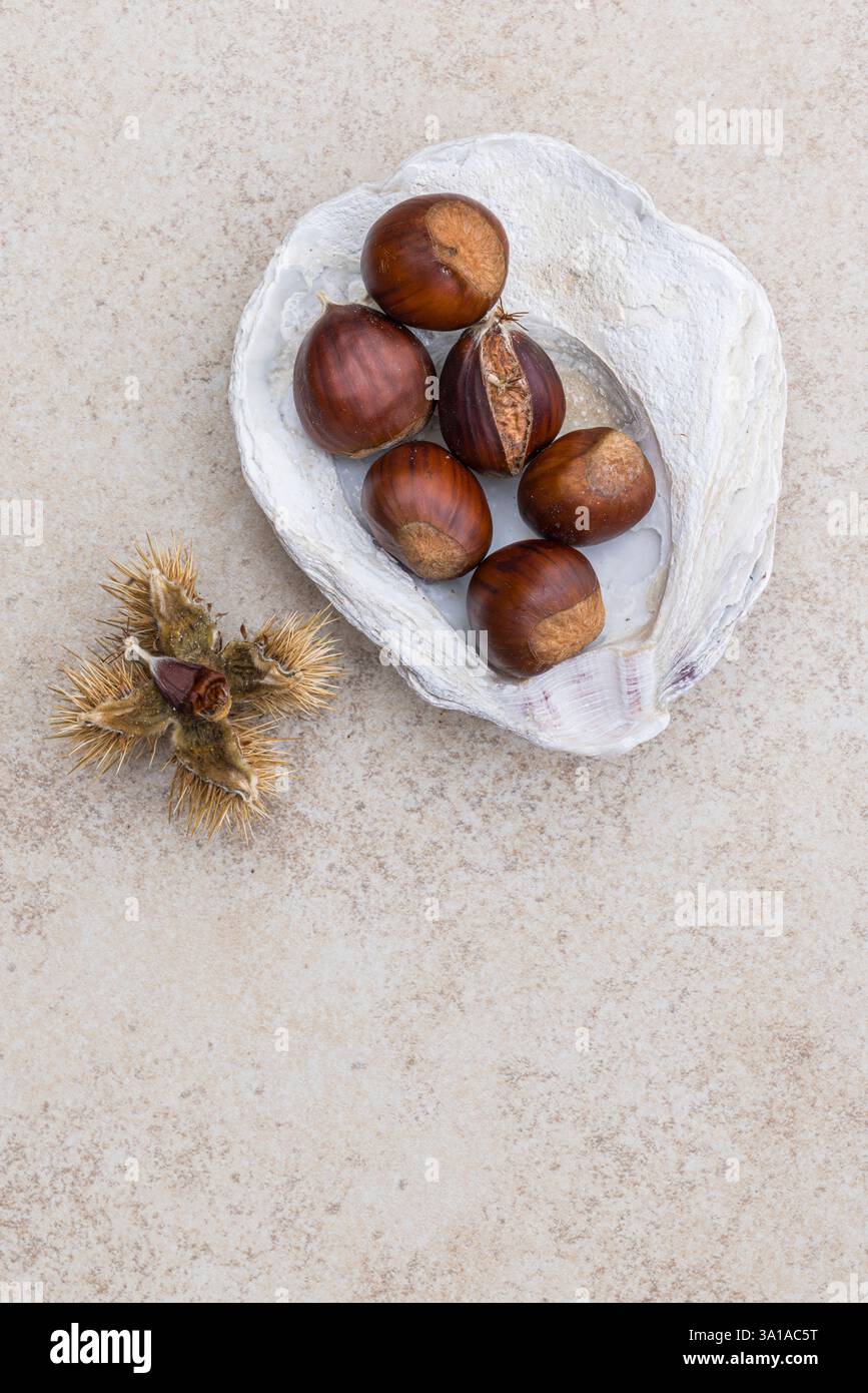 Châtaignes, coquille de moule comme un bol, nature morte de nourriture Banque D'Images