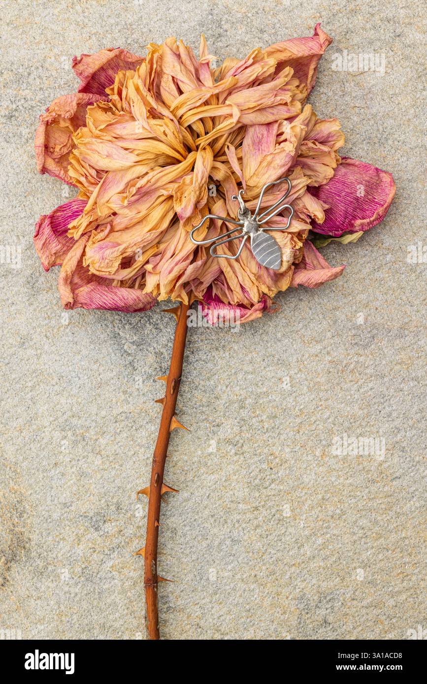 Grande abeille décorative en métal sur une fleur de dahlia séchée Banque D'Images