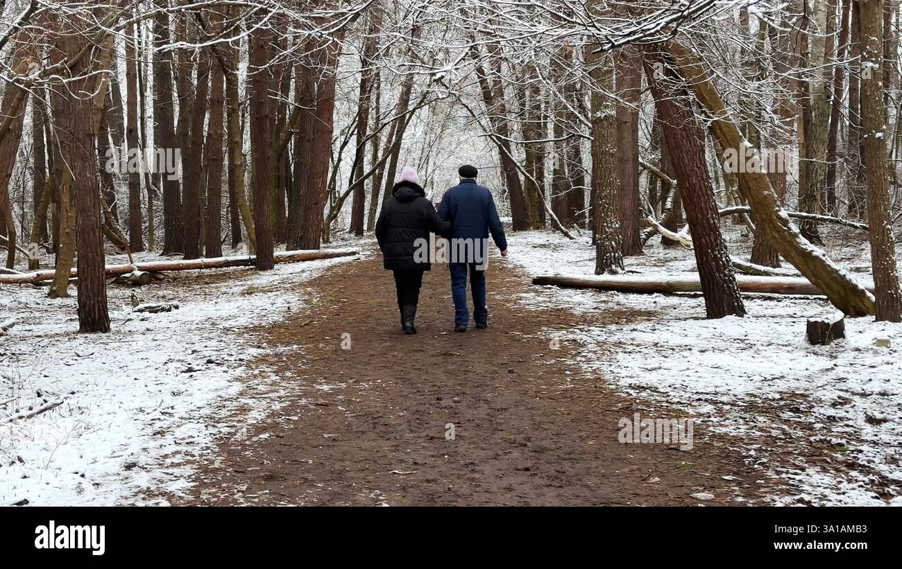 Couple mûr allant sur le chemin enneigé à la forêt de pins d'hiver. Mari senior et femme marchant à travers le sentier dans la forêt de conifères. Ancienne paire de Banque D'Images