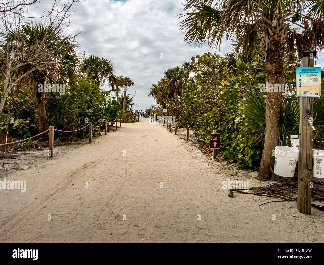 2/22/2025 Sanibel Island, FL, USA : un sentier de sable menant à Bowman's Beach sur l'île de Sanibel, FL, bordée de verdure luxuriante et de palmiers. Banque D'Images