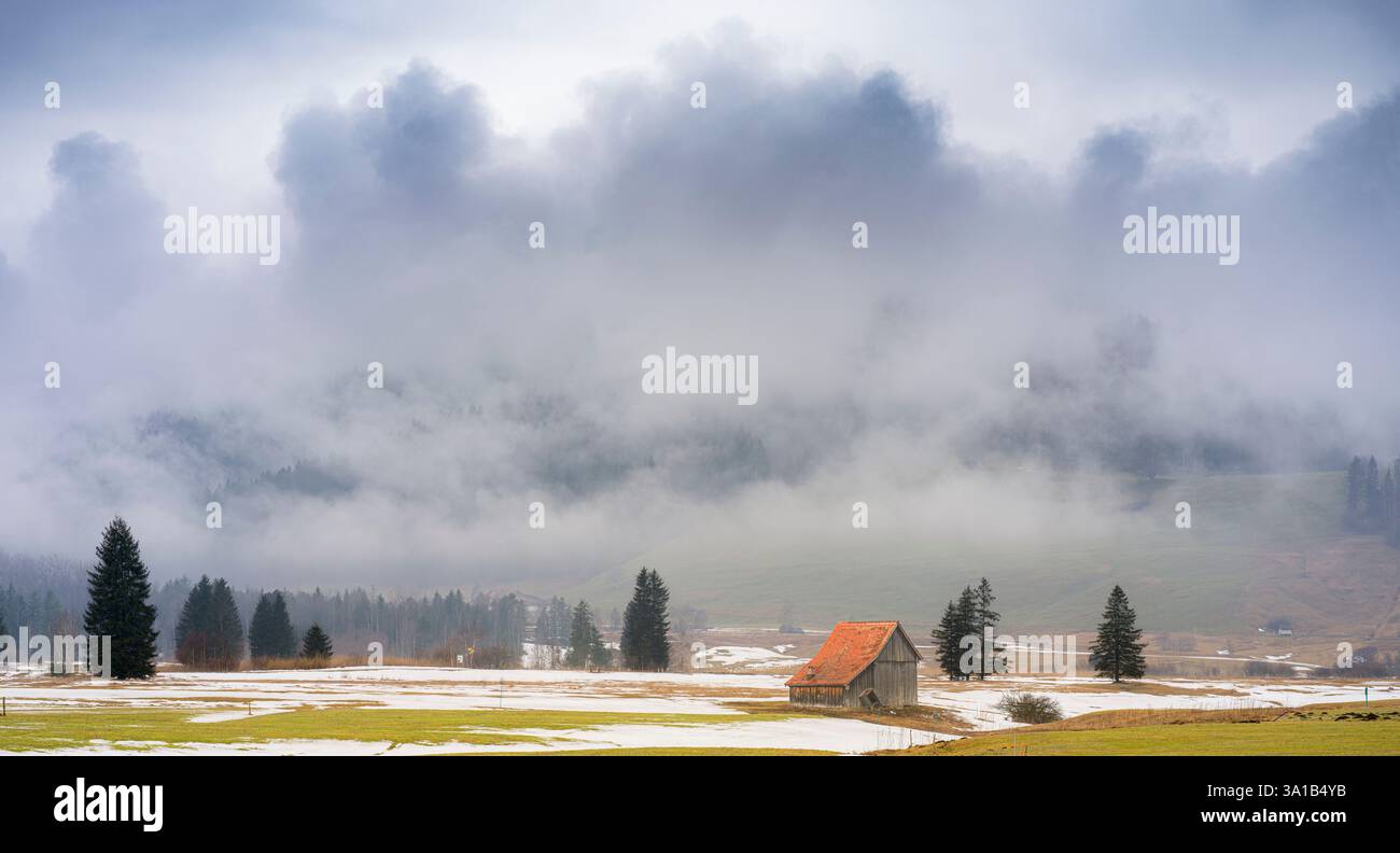 Suisse, Rothenthurm a élevé la tourbière à la fin de l'hiver Banque D'Images