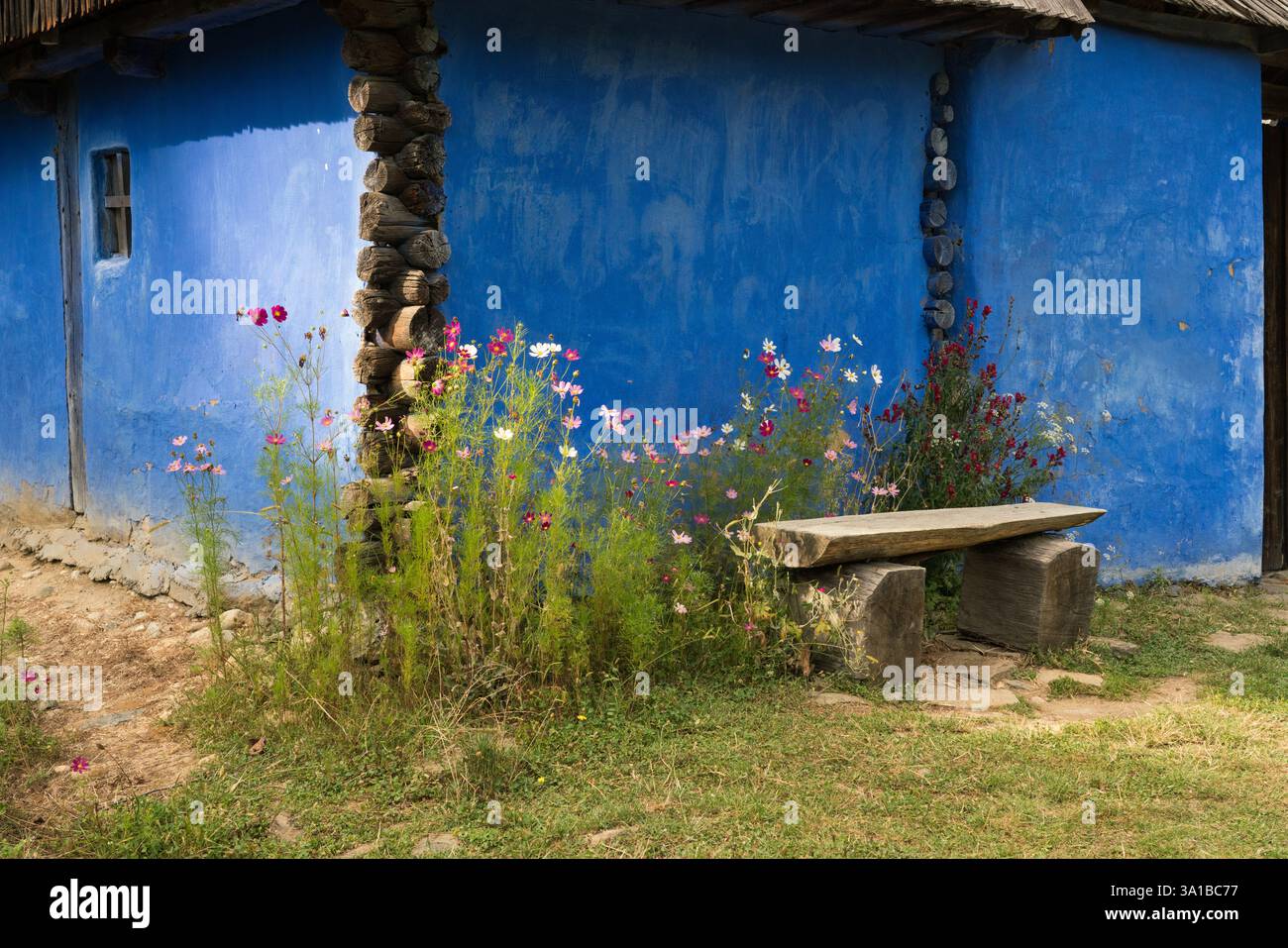 Banc en bois devant une maison bleue vibrante Banque D'Images