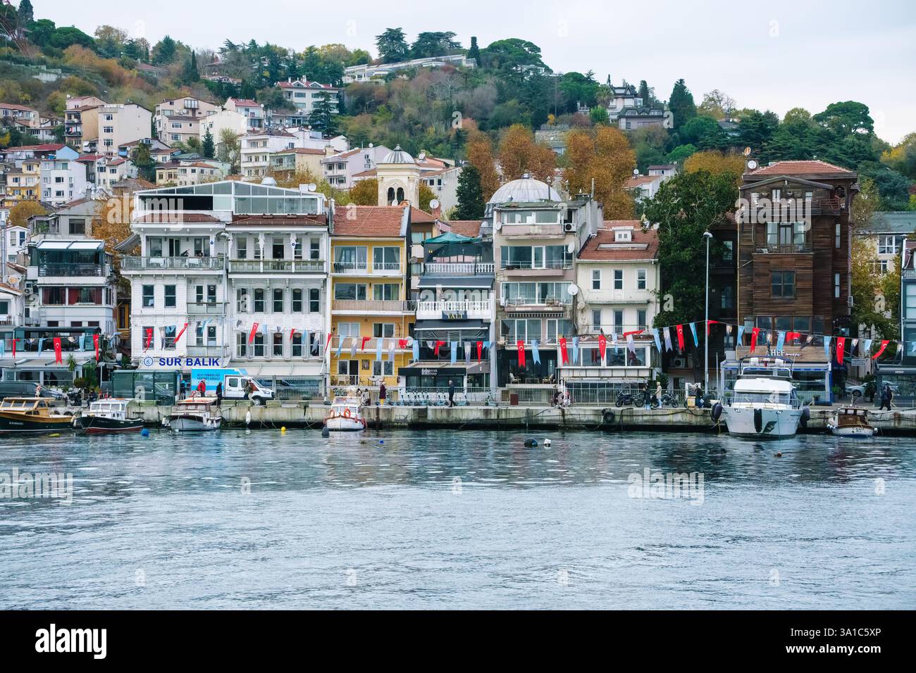 Istanbul, Turquie, Turkiye. Maisons traditionnelles le long du Bosphore, district d'Uskudar. Banque D'Images