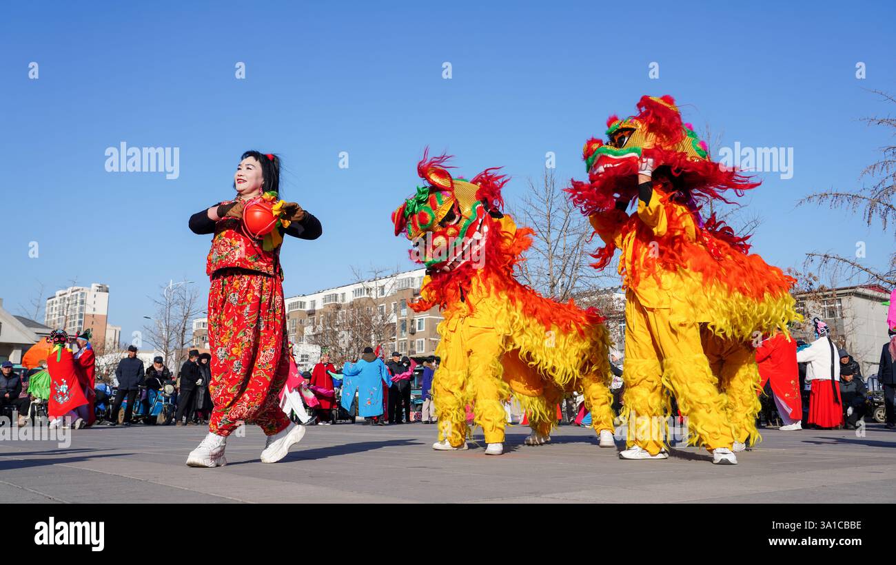 Comté de Luannan, Chine - 13 février 2025 : les gens exécutent des danses du lion sur la place pour célébrer le festival traditionnel chinois - le Festiv des lanternes Banque D'Images