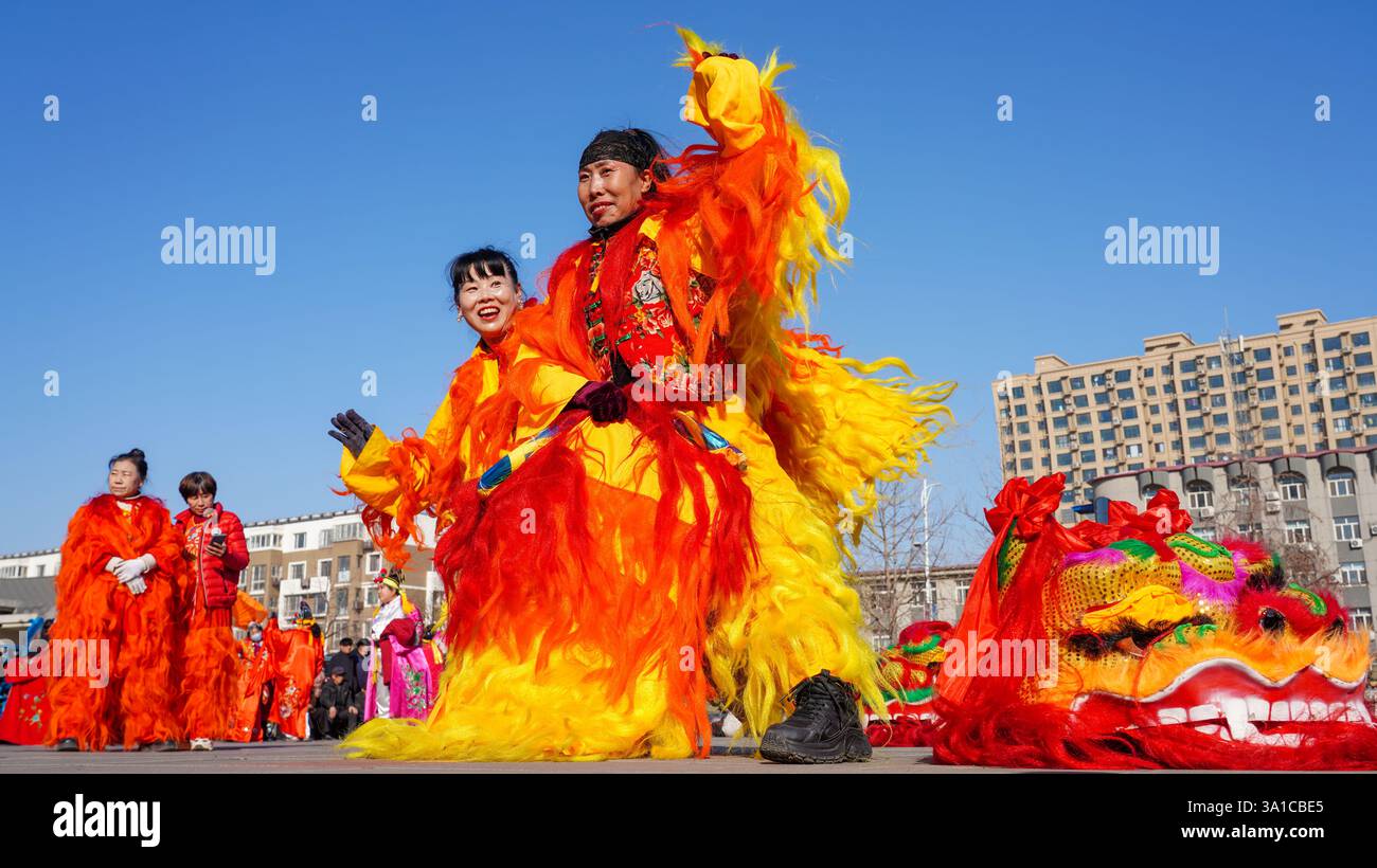 Comté de Luannan, Chine - 13 février 2025 : les gens exécutent des danses du lion sur la place pour célébrer le festival traditionnel chinois - le Festiv des lanternes Banque D'Images