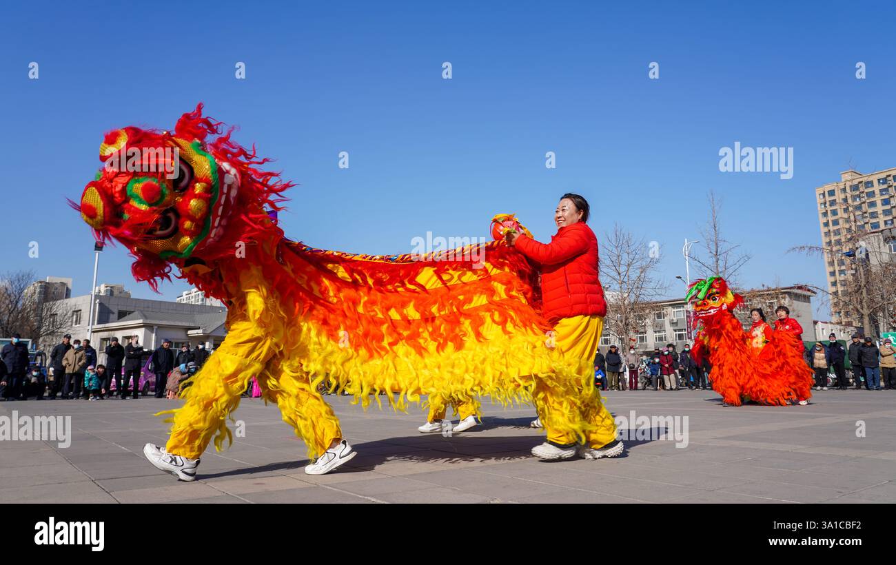 Comté de Luannan, Chine - 13 février 2025 : les gens exécutent des danses du lion sur la place pour célébrer le festival traditionnel chinois - le Festiv des lanternes Banque D'Images