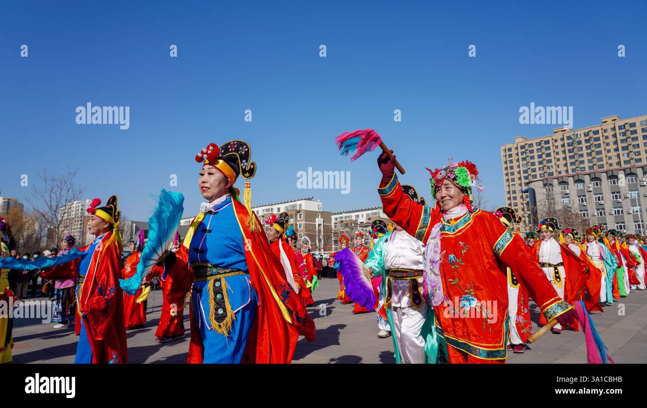 Comté de Luannan, Chine - 13 février 2025 : les gens vêtus de beaux costumes dansent le yangko pour célébrer le nouvel an chinois traditionnel. Banque D'Images