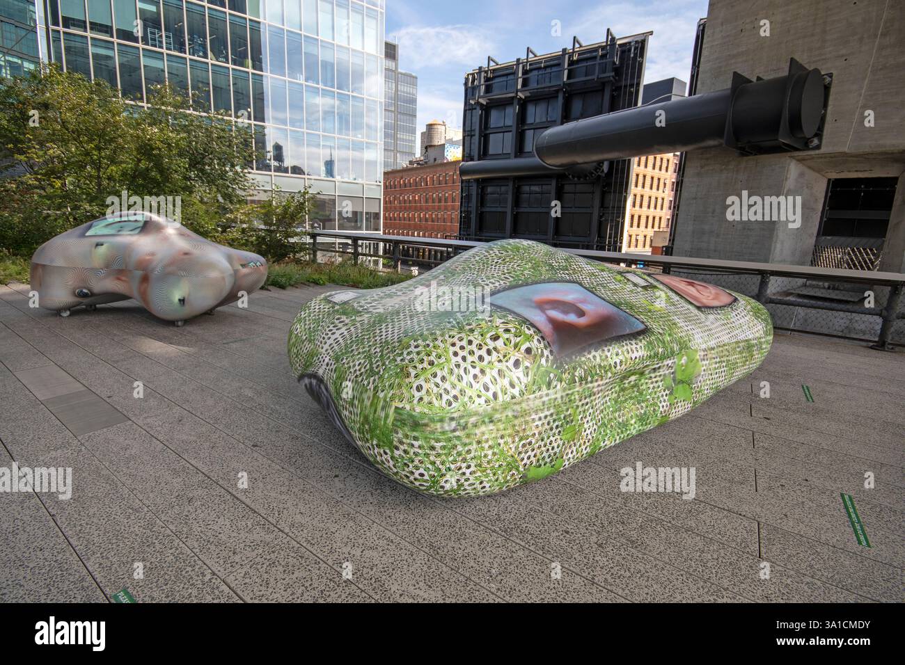 Le biomorphe forme 'car-GRASS-Screen-2 et car-Body-Screen-2' (par Tishan Hsu) le long du High Line Park, West Side, Manhattan, New York City, USA Banque D'Images
