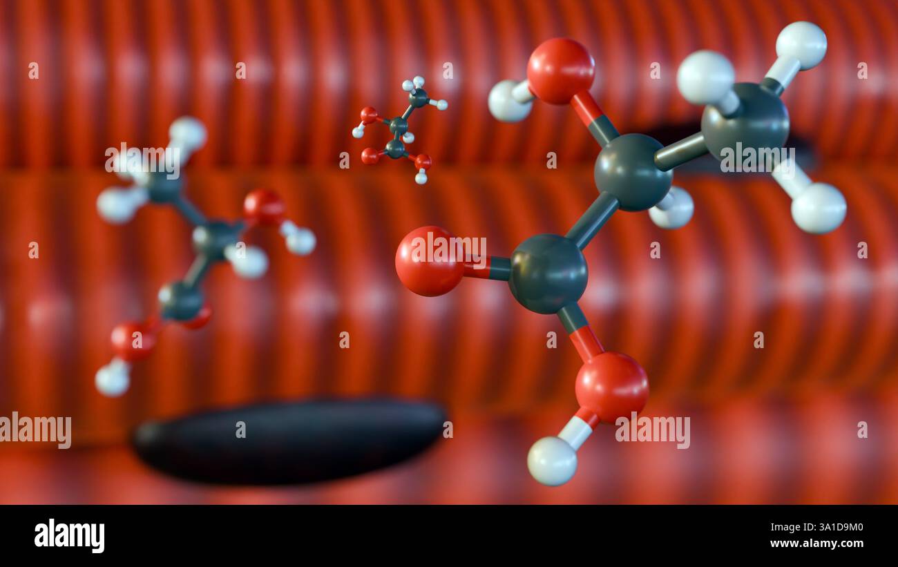 3e rendu des molécules d'acide lactique et du muscle squelettique. L'accumulation d'acide lactique dans le tissu musculaire. Banque D'Images
