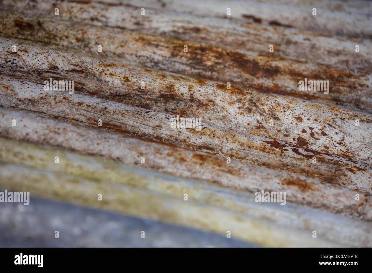 Gros plan d'une plaque de toit rouillée et ondulée avec des textures altérées et des motifs ondulés. La surface métallique vieillie présente une oxydation Banque D'Images