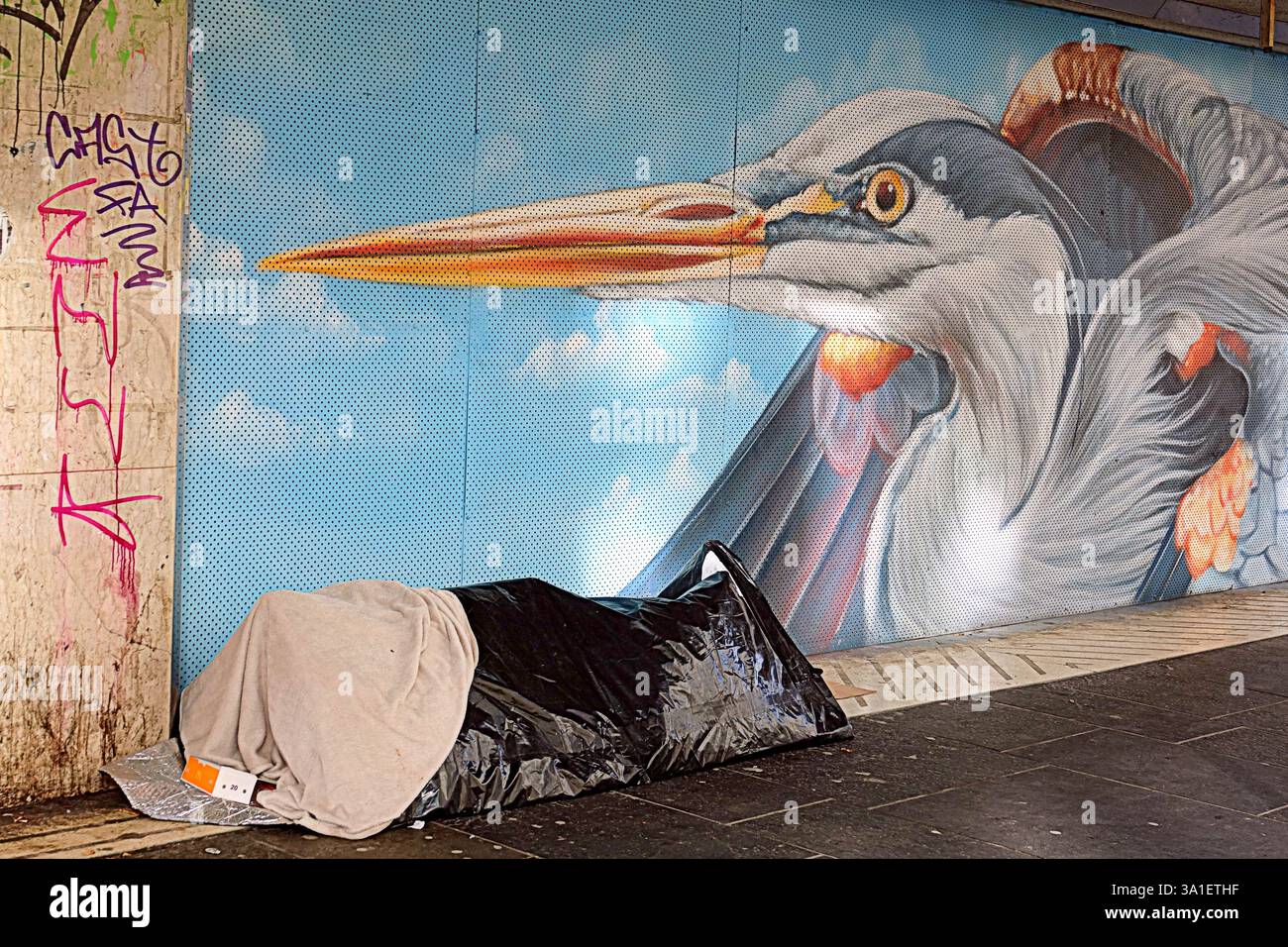 Glasgow, Écosse, Royaume-Uni. 8 mars 2025. Météo britannique : le jour ensoleillé du printemps a vu une douche occasionnelle dans le centre de la ville. Tente sans abri livrée par une cigogne sur la rue argyle. Crédit Gerard Ferry/Alamy Live News Banque D'Images